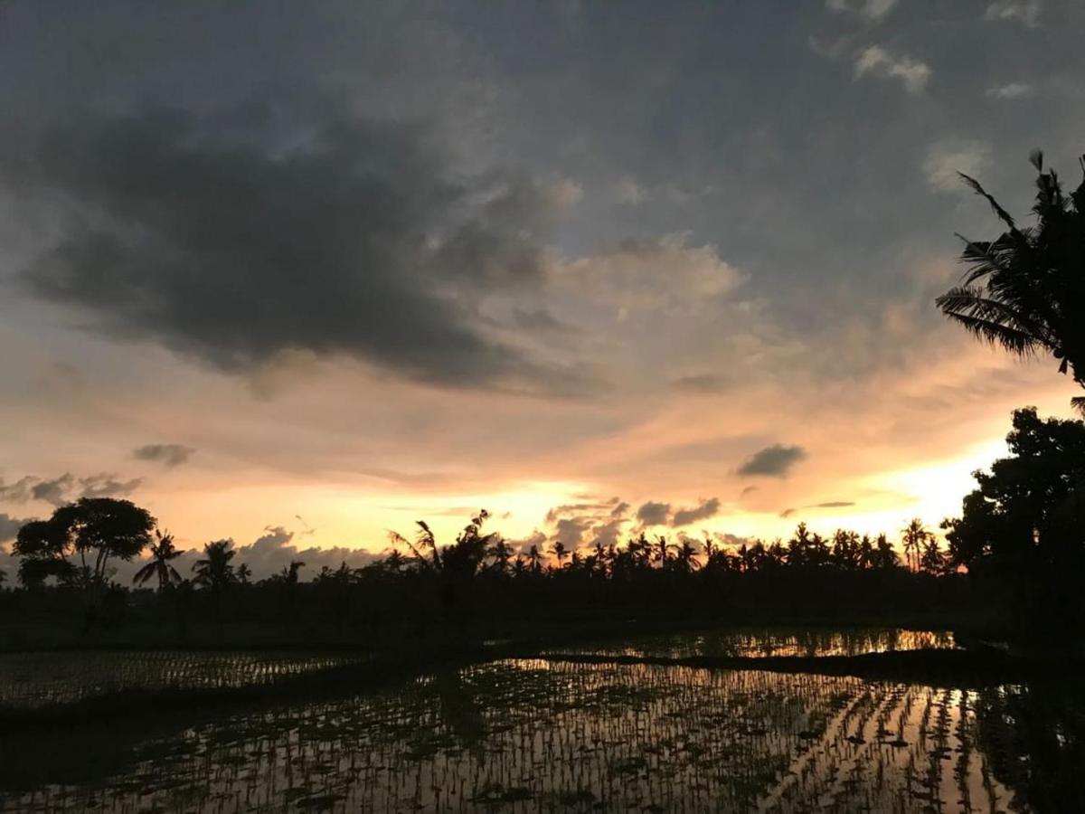 Sunset Pandawa Villa อูบุด ภายนอก รูปภาพ