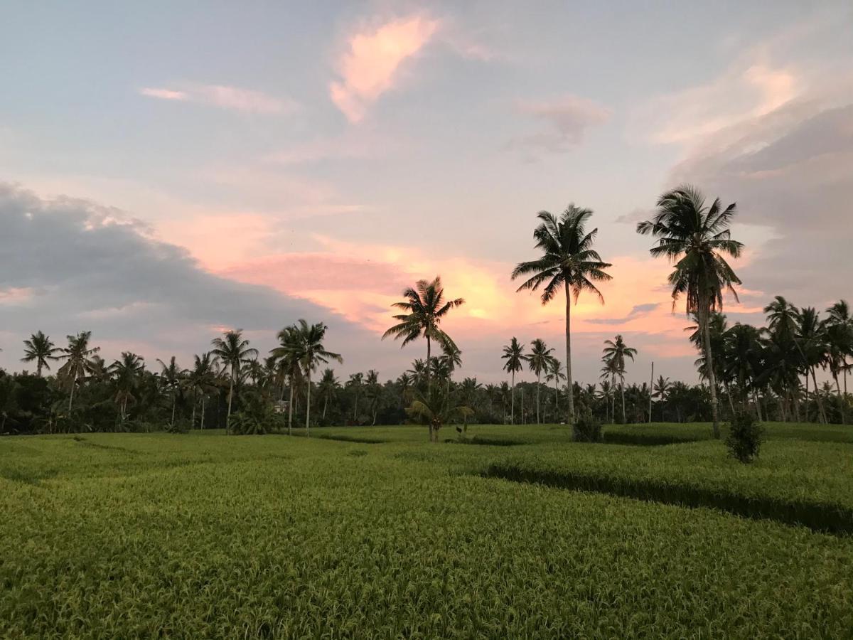Sunset Pandawa Villa อูบุด ภายนอก รูปภาพ