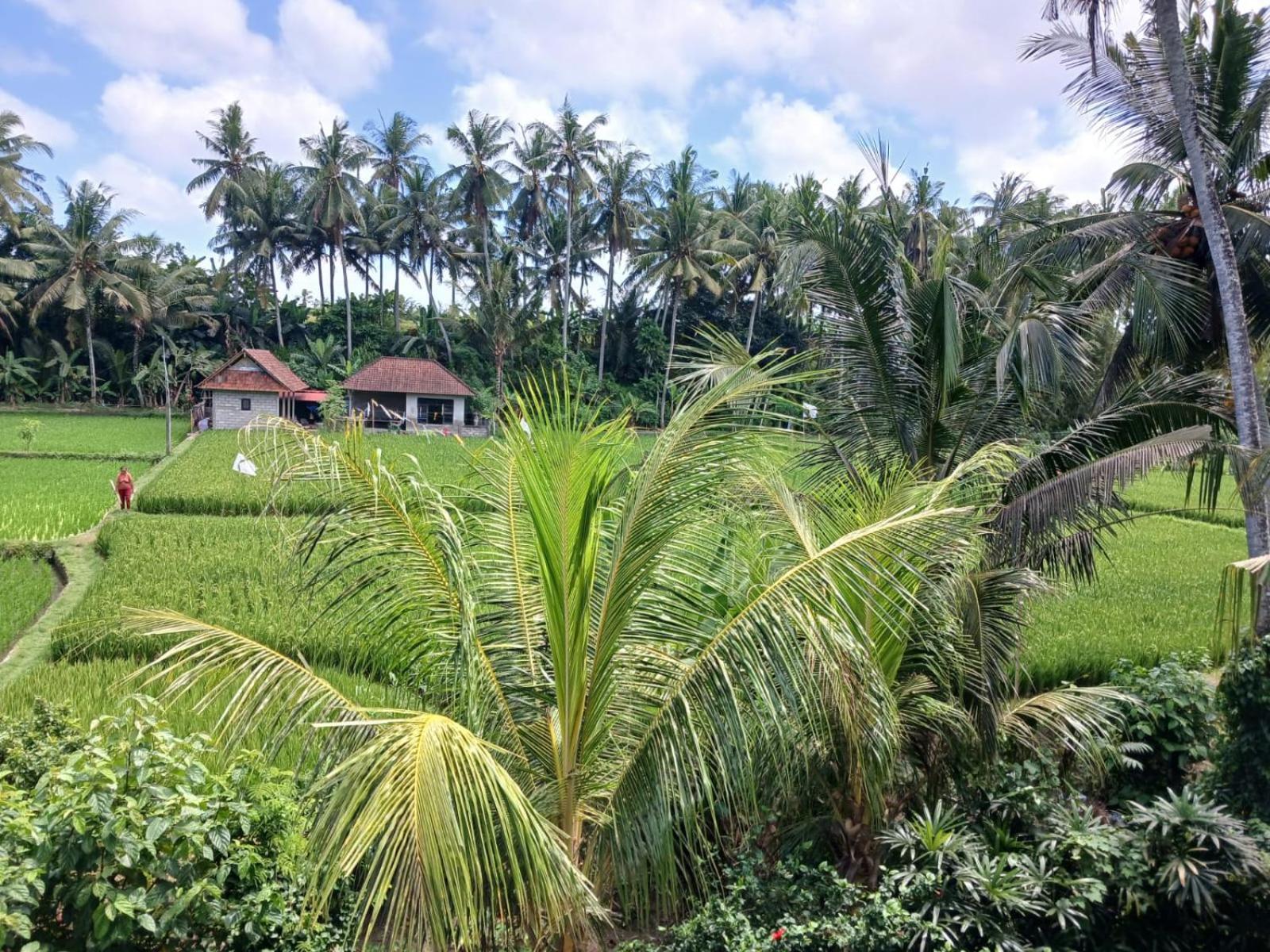 Sunset Pandawa Villa อูบุด ภายนอก รูปภาพ